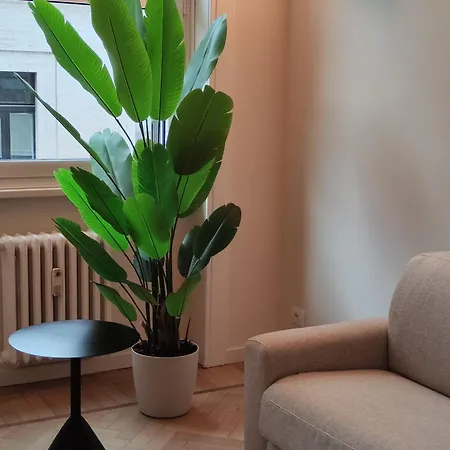 Domus Nova - Rubino Apartment *